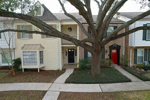 14147 Misty Meadow Ln in Houston, TX - Building Photo