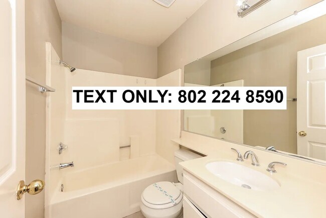 39715 Sunrose Dr in Murrieta, CA - Building Photo - Building Photo