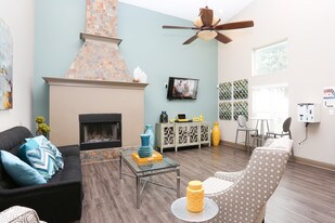 Sedona Canyon in San Antonio, TX - Building Photo