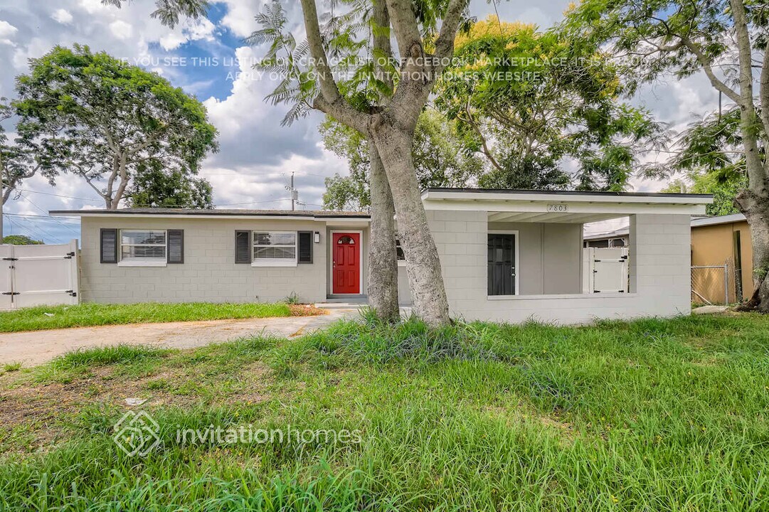 7803 Sun Vista Way in Orlando, FL - Foto de edificio