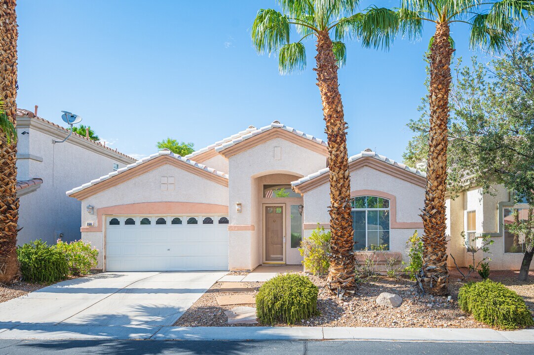 356 Blackstone River Ave in Las Vegas, NV - Building Photo