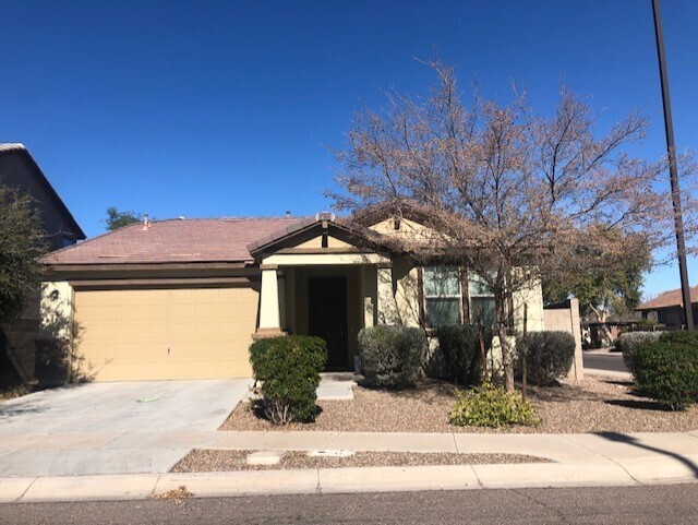 3648 E Sexton St in Gilbert, AZ - Foto de edificio