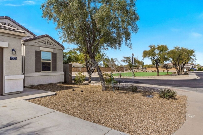 17878 N Pietra Rd in Maricopa, AZ - Building Photo - Building Photo