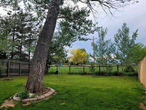 11869 Jade St in Lafayette, CO - Building Photo - Building Photo