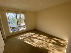 8085 Caminito de Pizza in San Diego, CA - Foto de edificio - Building Photo