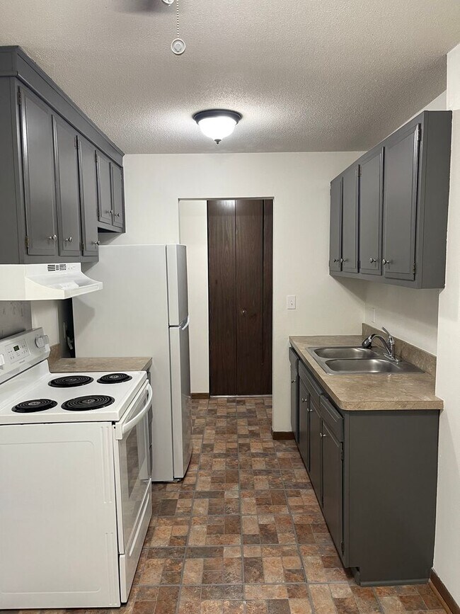 DJ Smith Realty Emerson Ave S in Minneapolis, MN - Building Photo - Building Photo