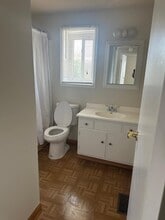 1101 Perth Dr in Schaumburg, IL - Building Photo - Building Photo