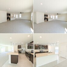 13686 Whiskey Daisy Dr in Dade City, FL - Building Photo - Building Photo