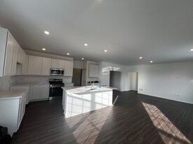 14913 Dyer Ln in Plainfield, IL - Building Photo