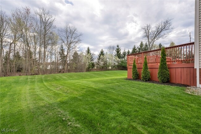10375 Kerwick Ct in Reminderville, OH - Building Photo - Building Photo