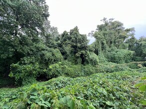 209 Unicorn Pl in Capitol Heights, MD - Building Photo - Building Photo