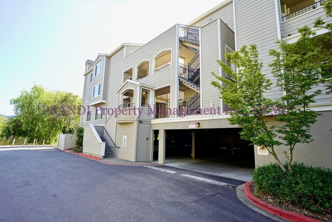 property at 1579 S Novato Blvd