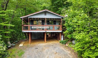338 Canter Ct in Ellijay, GA - Building Photo