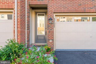 42409 S Dogwood St in Sterling, VA - Building Photo