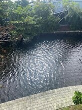 578 NE 20th St in Wilton Manors, FL - Building Photo - Building Photo