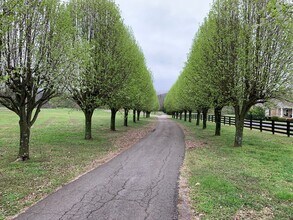 1108 Gray Fox Ln in Franklin, TN - Building Photo - Building Photo