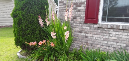 5833 Kindley Dr in Fayetteville, NC - Foto de edificio - Building Photo