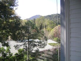 117 Locust Ave, Unit 1 in Larkspur, CA - Building Photo