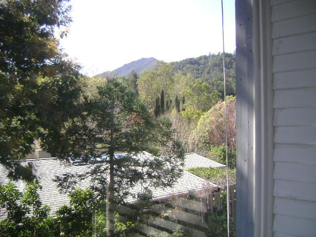 117 Locust Ave, Unit 1, Unit 1