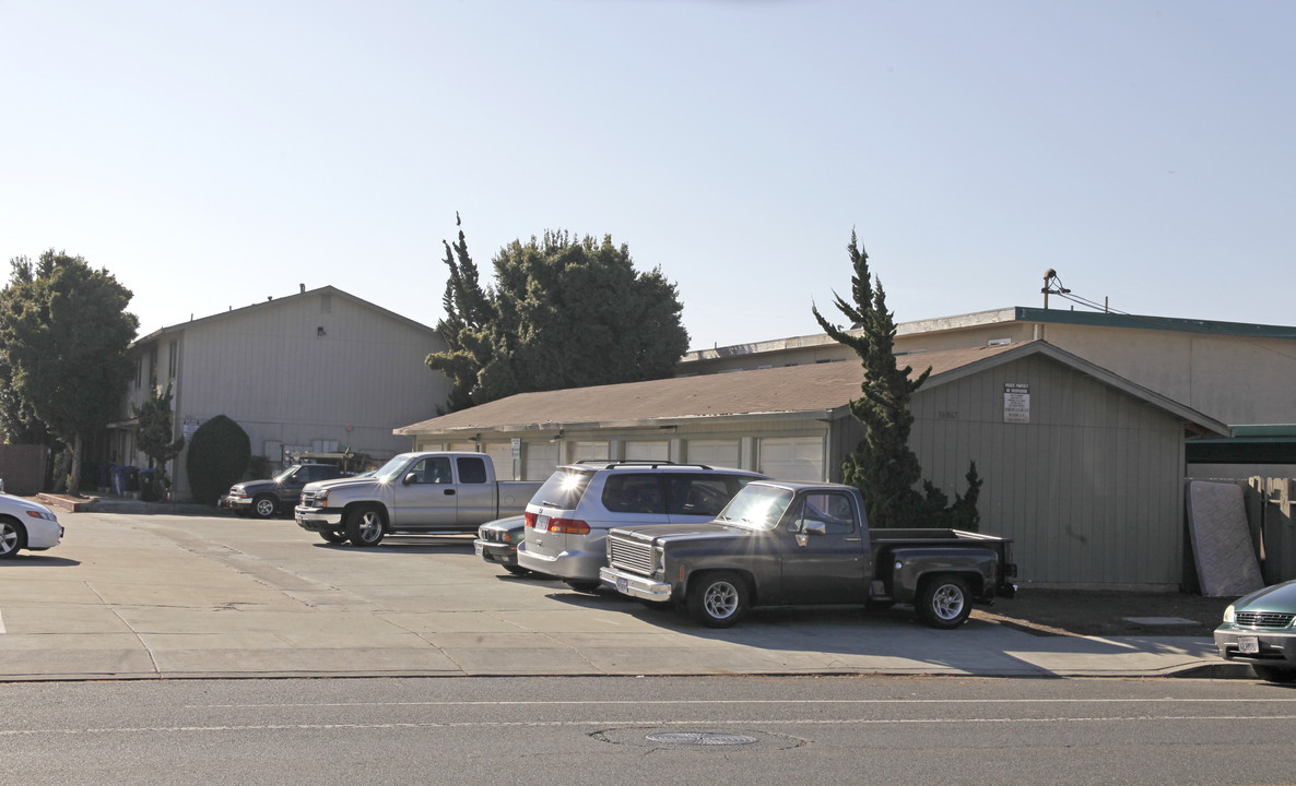 36867 Sycamore St in Newark, CA - Foto de edificio