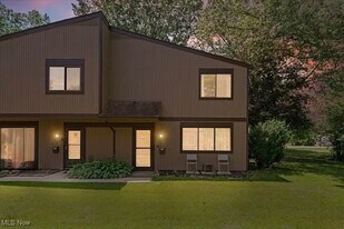 26651 Lake of the Falls Blvd in Olmsted Falls, OH - Building Photo