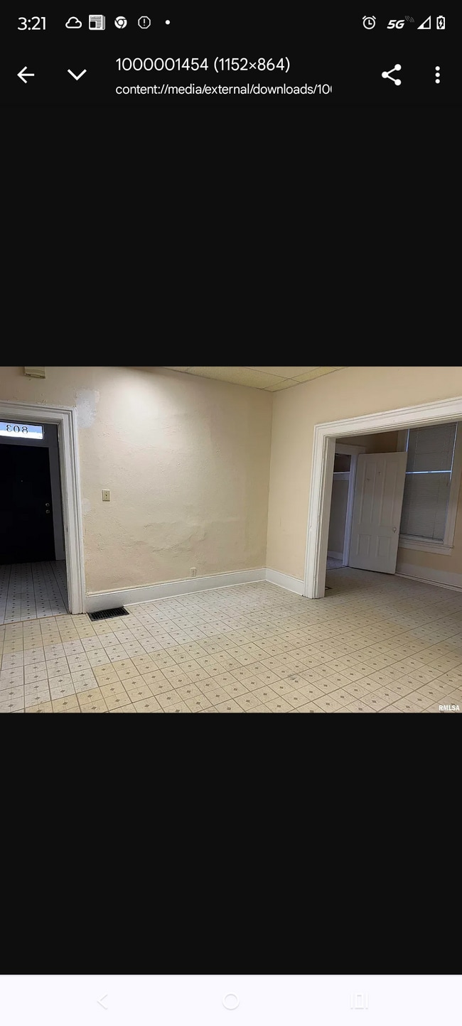 213 N Webster St in Peoria, IL - Building Photo - Building Photo