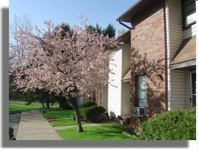 Woodland Hills Townhomes in Connellsville, PA - Building Photo - Building Photo