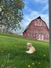 314 Schoolhouse Rd in Ghent, NY - Building Photo - Building Photo