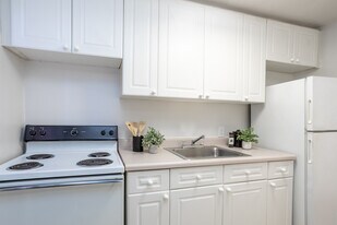 The Shelton at Cameron Court in Raleigh, NC - Building Photo