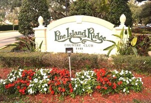 9441 Live Oak Pl in Davie, FL - Building Photo