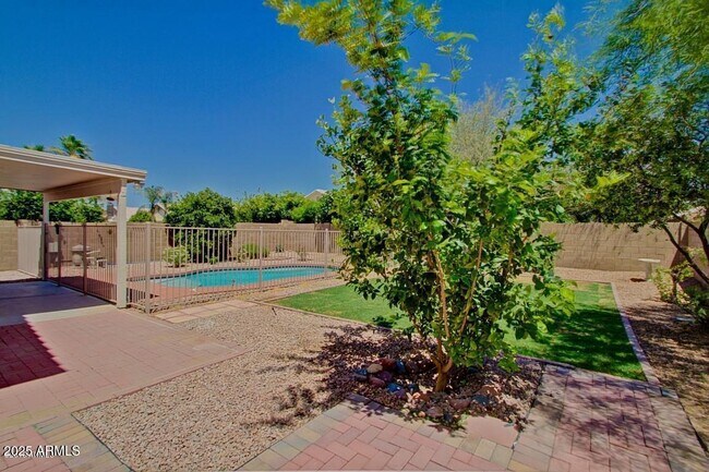 1674 W Macaw Dr in Chandler, AZ - Building Photo - Building Photo