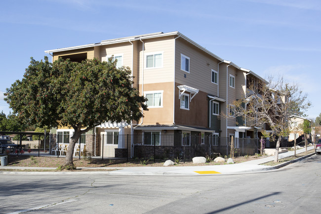 Walnut Street Apartments