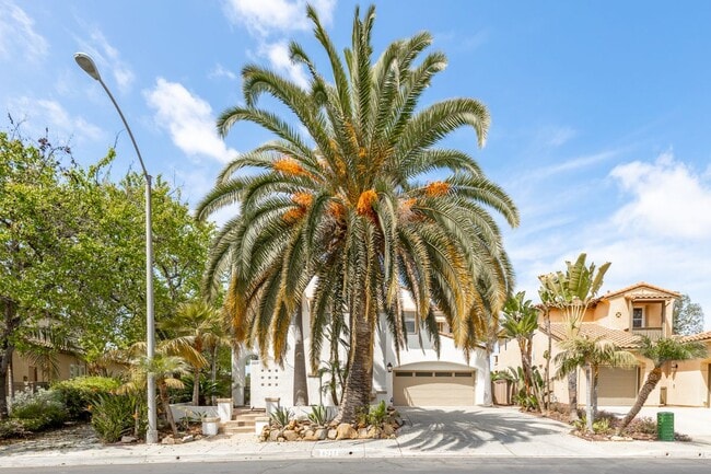 6213 Paseo Privado in Carlsbad, CA - Building Photo - Building Photo