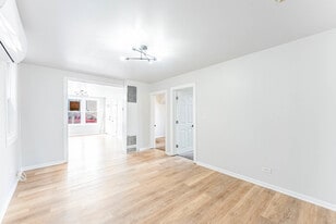 3807 S Albany Ave in Chicago, IL - Building Photo