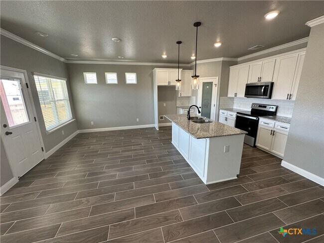 1423 Curlew Ln in Temple, TX - Building Photo - Building Photo