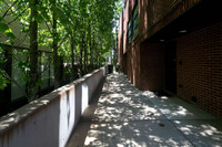 1901 N. Orchard Street in Chicago, IL - Foto de edificio - Building Photo