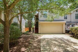 7 Newberry Trail Ct in Spring, TX - Building Photo