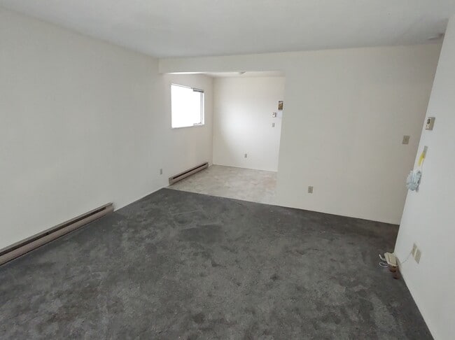 property at 60 Shuswap St N