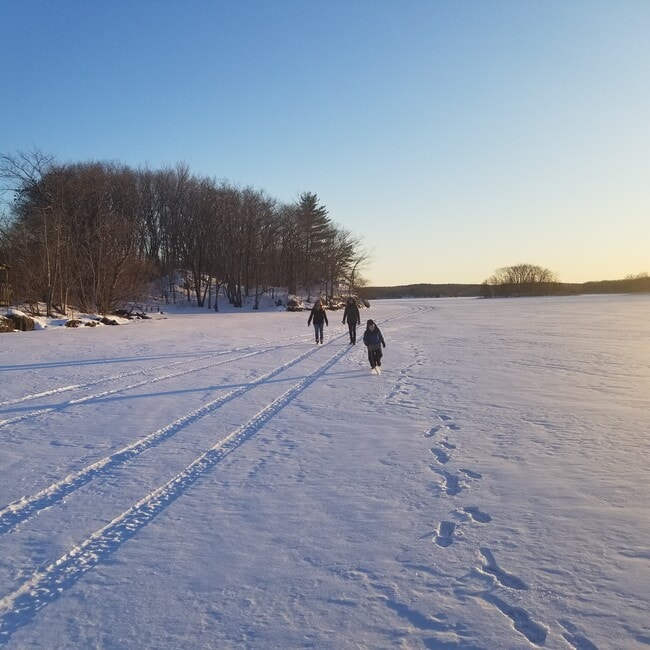 29 Crescent Ter in Cohoes, NY - Building Photo - Building Photo
