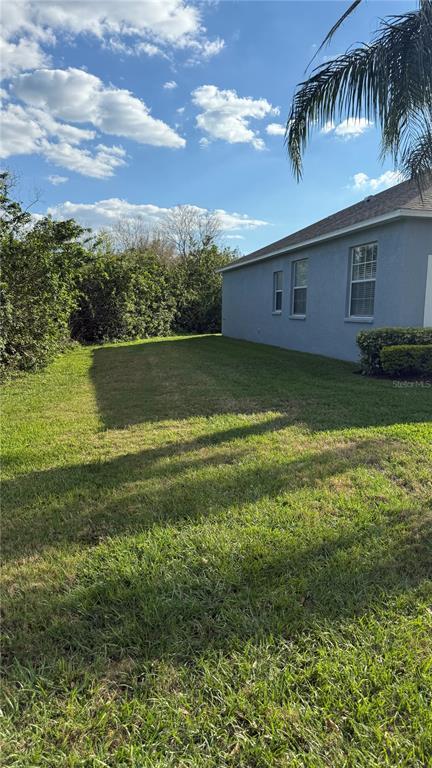 11435 Dutch Iris Dr in Riverview, FL - Building Photo - Building Photo