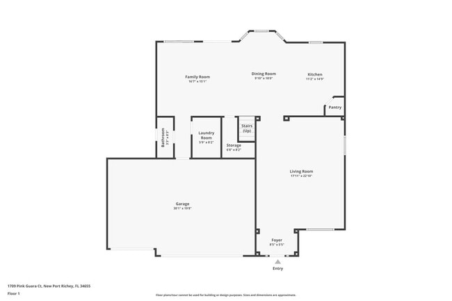 1709 Pink Guara Ct in Trinity, FL - Building Photo - Building Photo