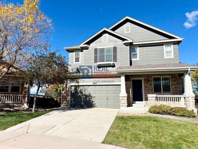 4640 Ginger Ct in Castle Rock, CO - Foto de edificio - Building Photo