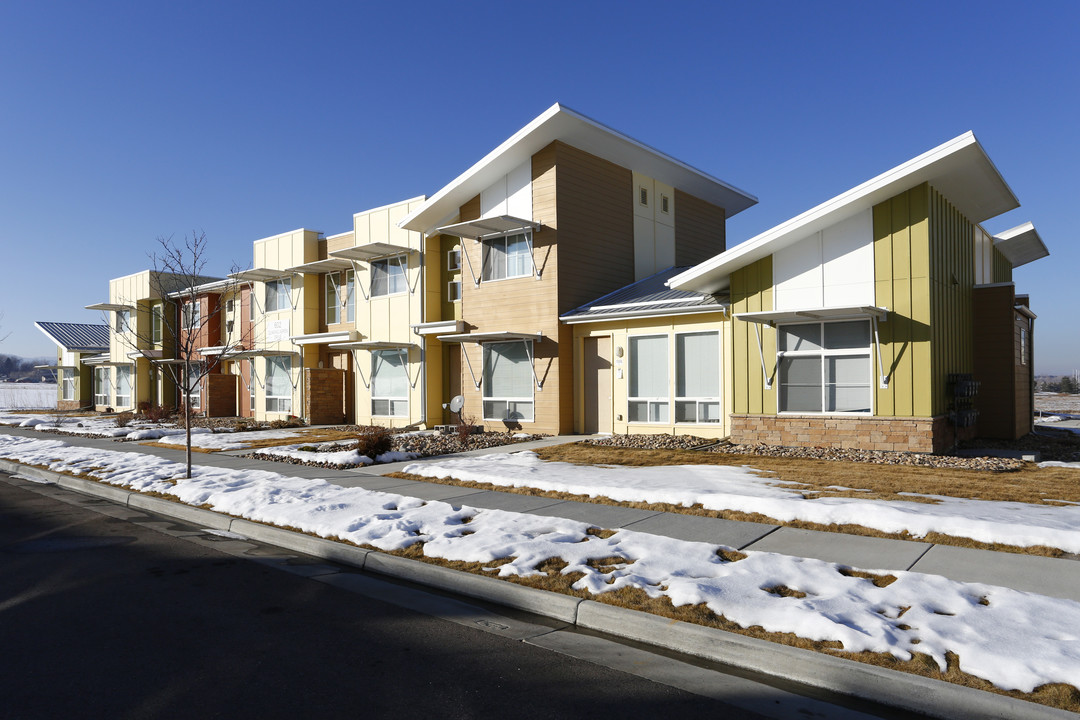 Provincetowne Green in Fort Collins, CO - Building Photo