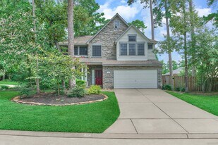 18 Heather Wisp Ct in The Woodlands, TX - Building Photo