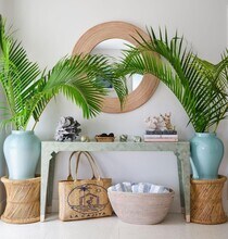 255 Cortez Rd in West Palm Beach, FL - Building Photo - Building Photo