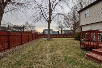 713 Green Mountain Ct in Bolingbrook, IL - Building Photo - Building Photo