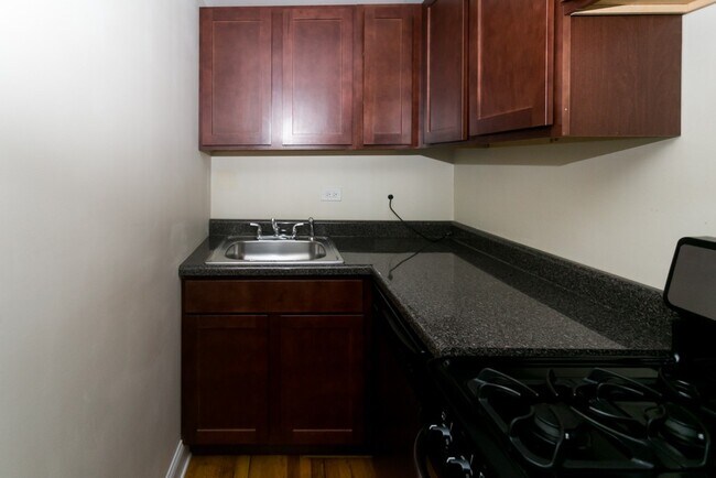 1350 N Dearborn St in Chicago, IL - Building Photo - Building Photo
