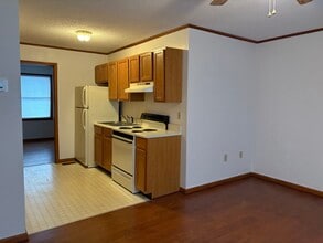 812 E Maple St, Unit #3 in Johnson City, TN - Building Photo - Building Photo