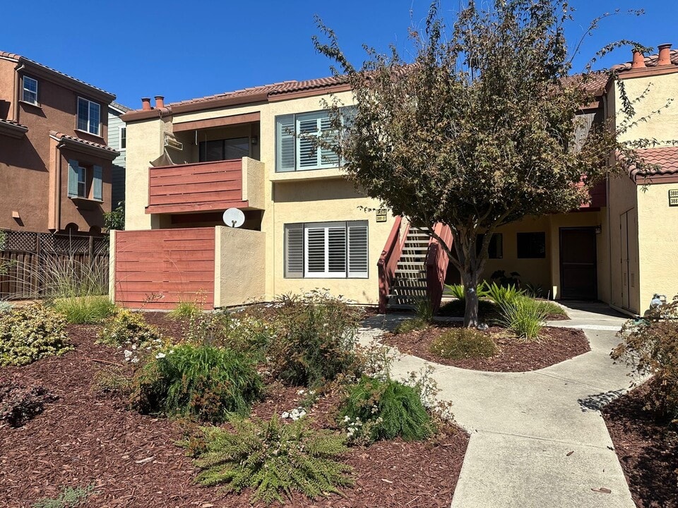 3881 Milton Terrace in Fremont, CA - Building Photo
