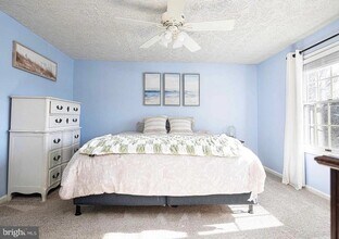 133 Spruce Woods Ct in Abingdon, MD - Building Photo - Building Photo